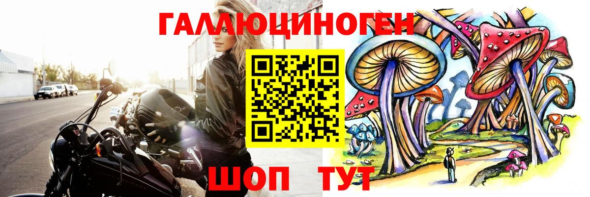 Псилоцибиновые грибы ЛСД  Вход с VPN  как найти закладки  Кондопога 